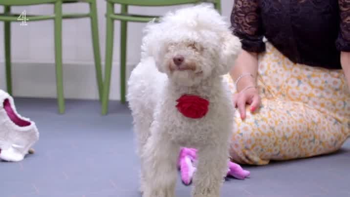 [Image: luymq3e4o6j4.jpg]