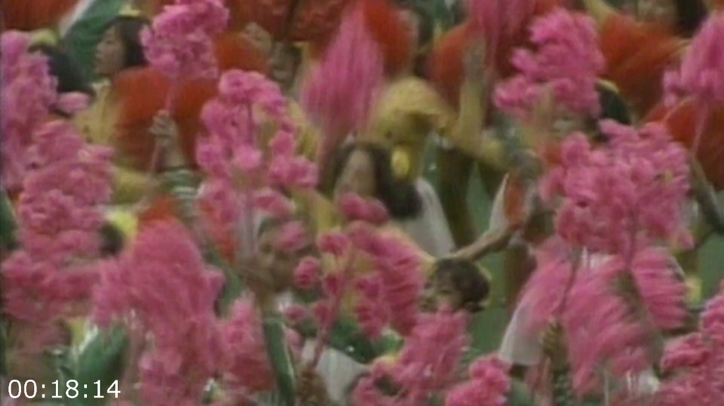 [Image: 3txej185qfsa.png]