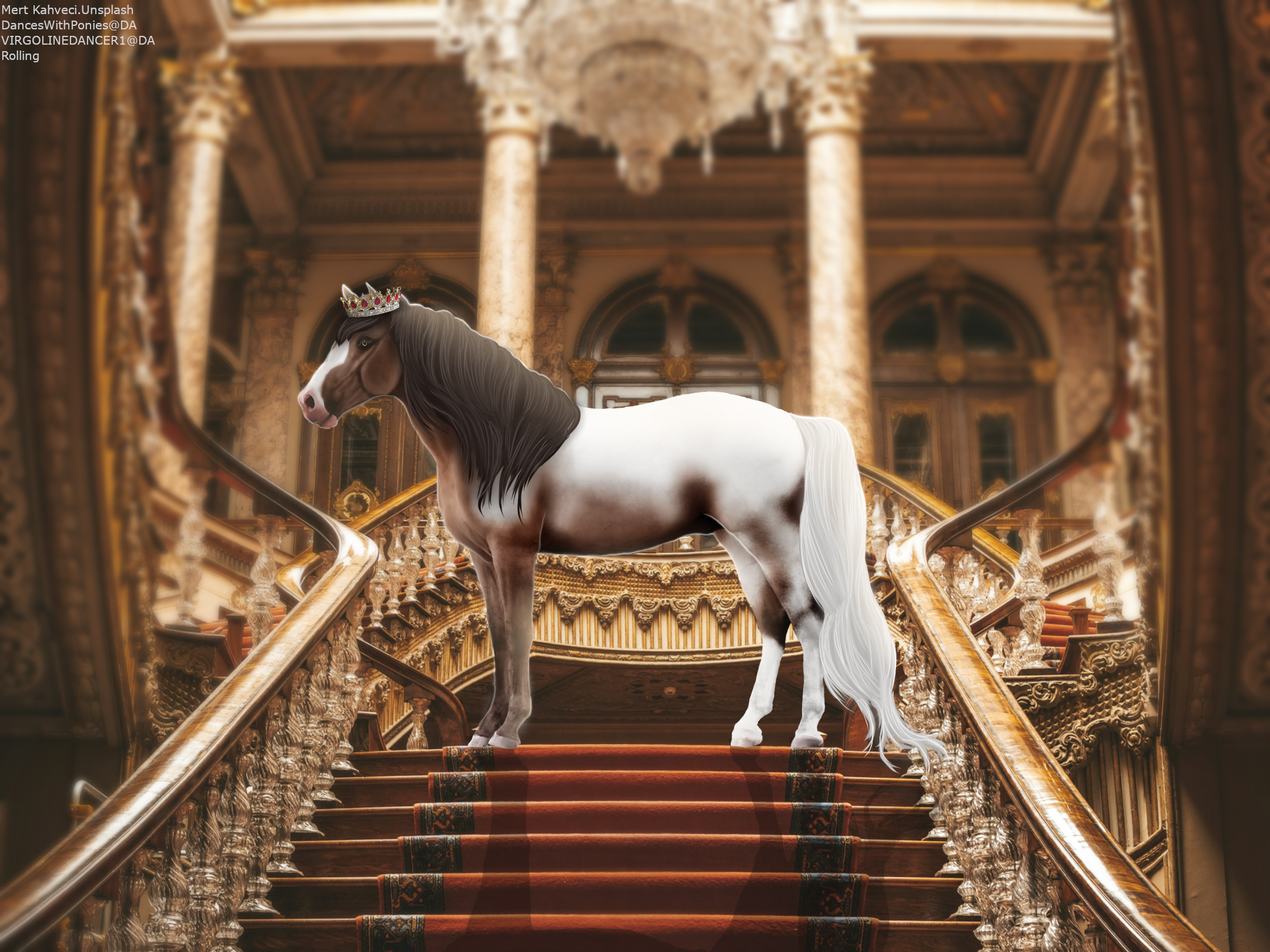 LJ-Horse.png