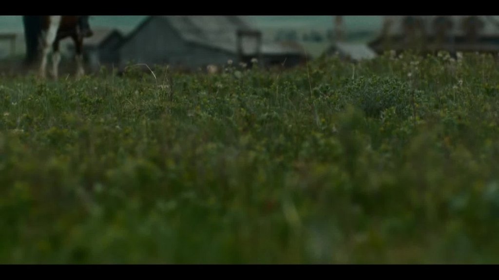 [Image: govji5b727jc.jpg]