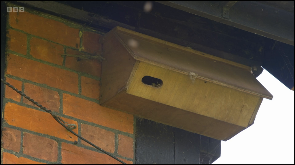 [Image: i7ngpn3he49p.png]