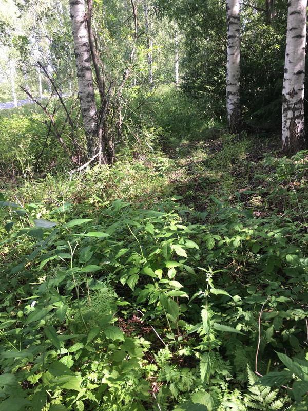 222CC524-61D3-458F-89E7-2FBBA4D341C3