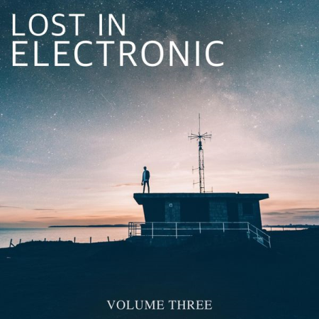 Various Artists - Lost in Electronic, Vol. 3 (2020)