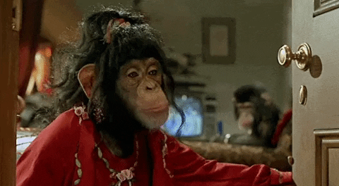 giphy-(4).gif