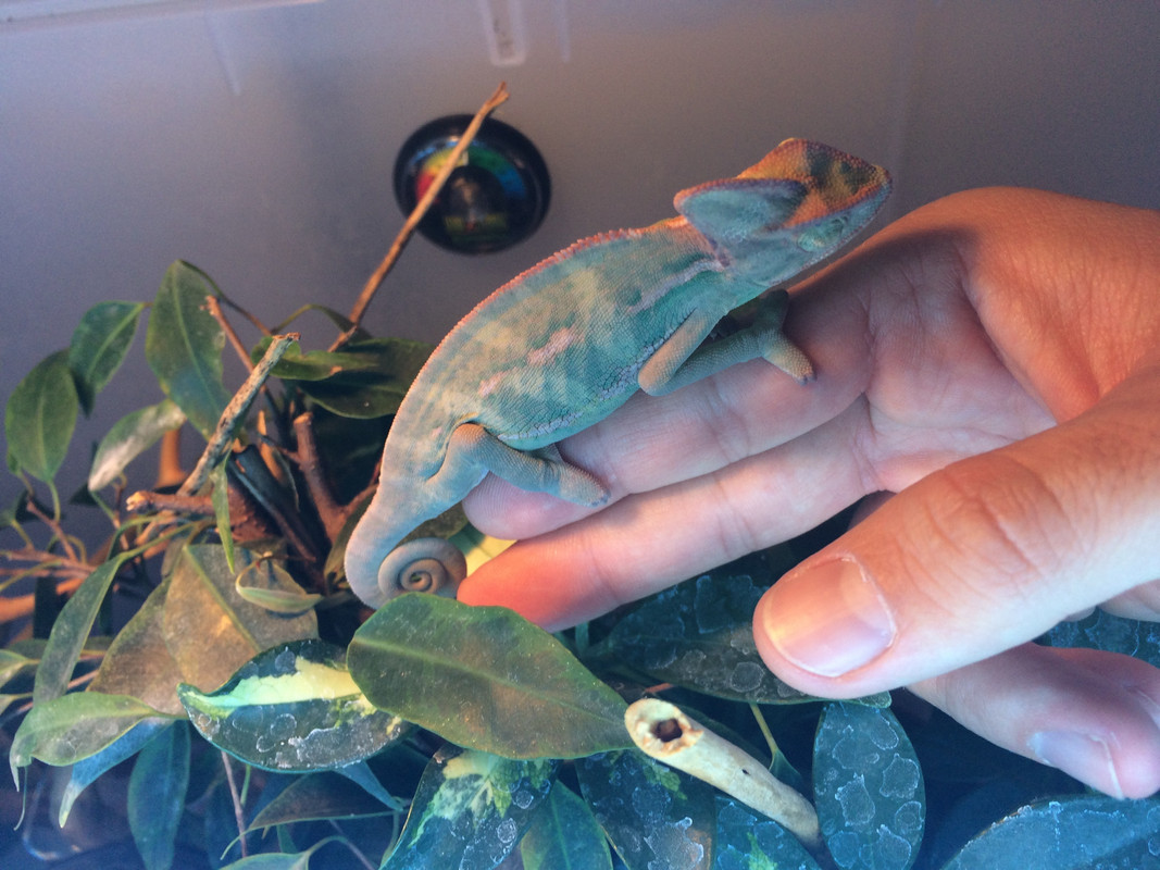 D8ACC22F-4572-425B-9507-39A380285CEA