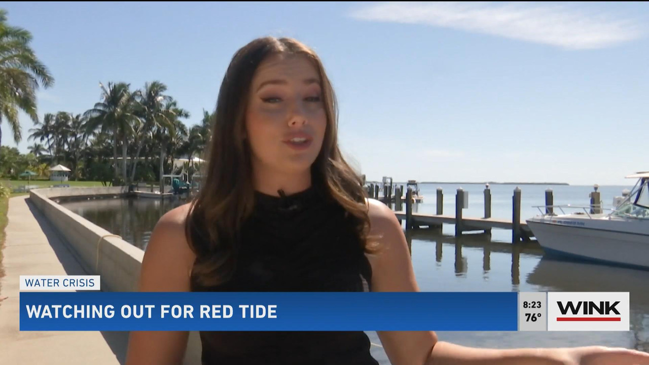 10.24 - 11.00.00 - WINK News @ 6 00AM Sunday. Local news, sports and ..._001.ts_snapshot_01.12.28_[2