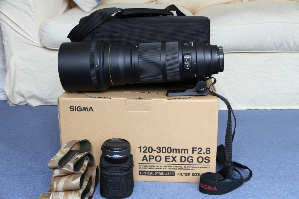 Sigma120-300-1.jpg