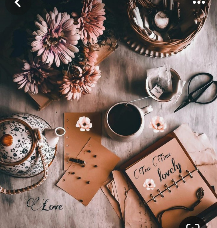 Screenshot_20230913_175502_Pinterest