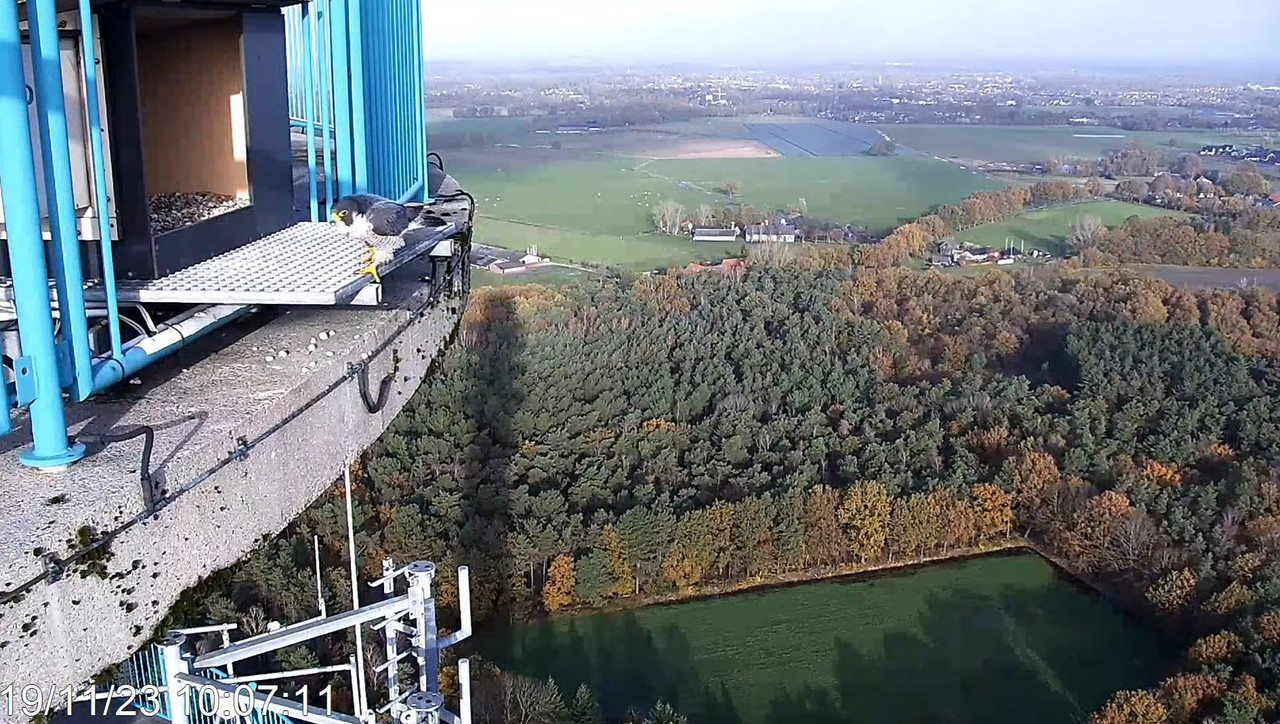 screenshots va 2 november 2023 © VWGGemert - Pagina 5 2023-11-19-100740