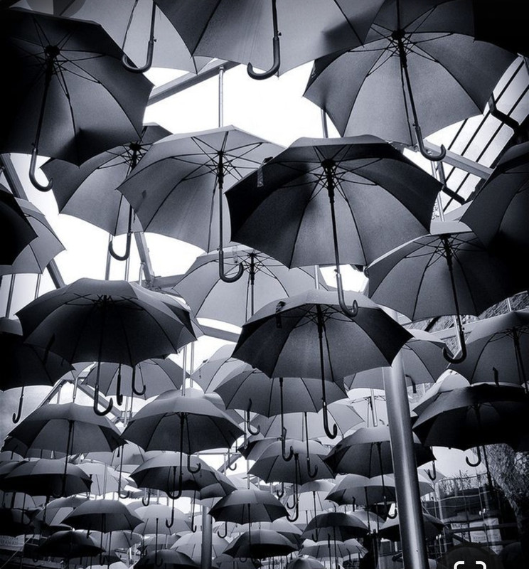 Screenshot_20230319_004638_Pinterest