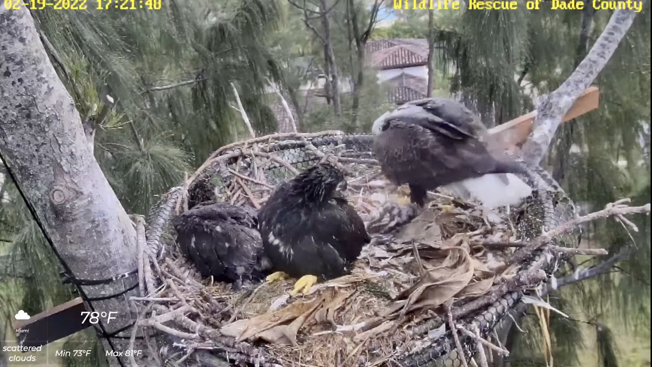 6A8AABBA-D766-4847-8499-1BEDCB51776D