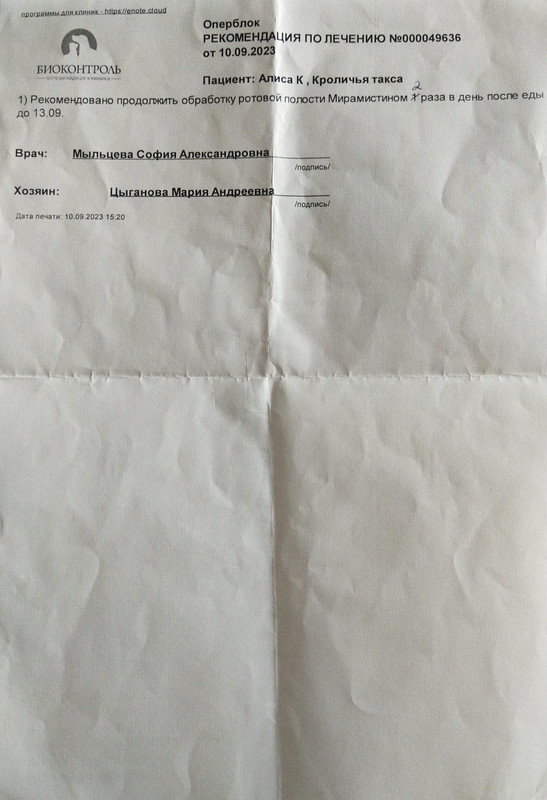 10 августа стом. рекомендации