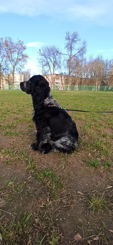 IMG-30b673b147c557c10c0e13f76be458d4-V