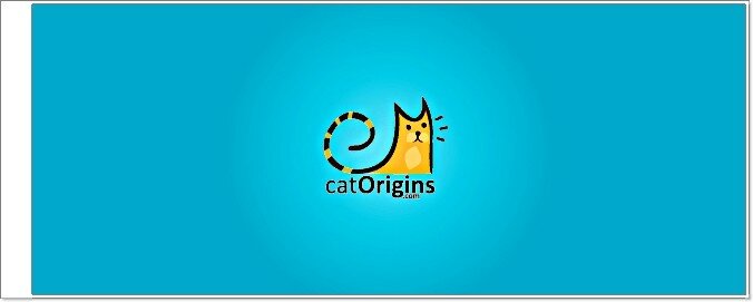 019-cat-logo
