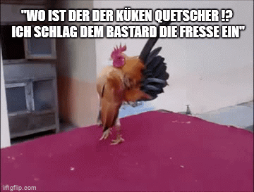 6ym3xc.gif