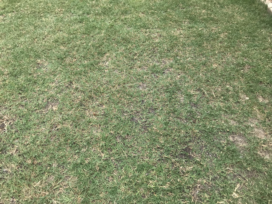 EFA91942-3229-4113-8449-5F93D3AF0408