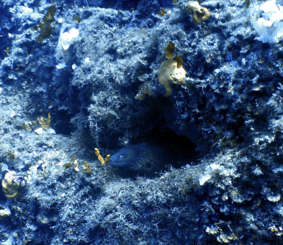 3DDAE172-2C0B-4414-87AF-7D38E4B05292