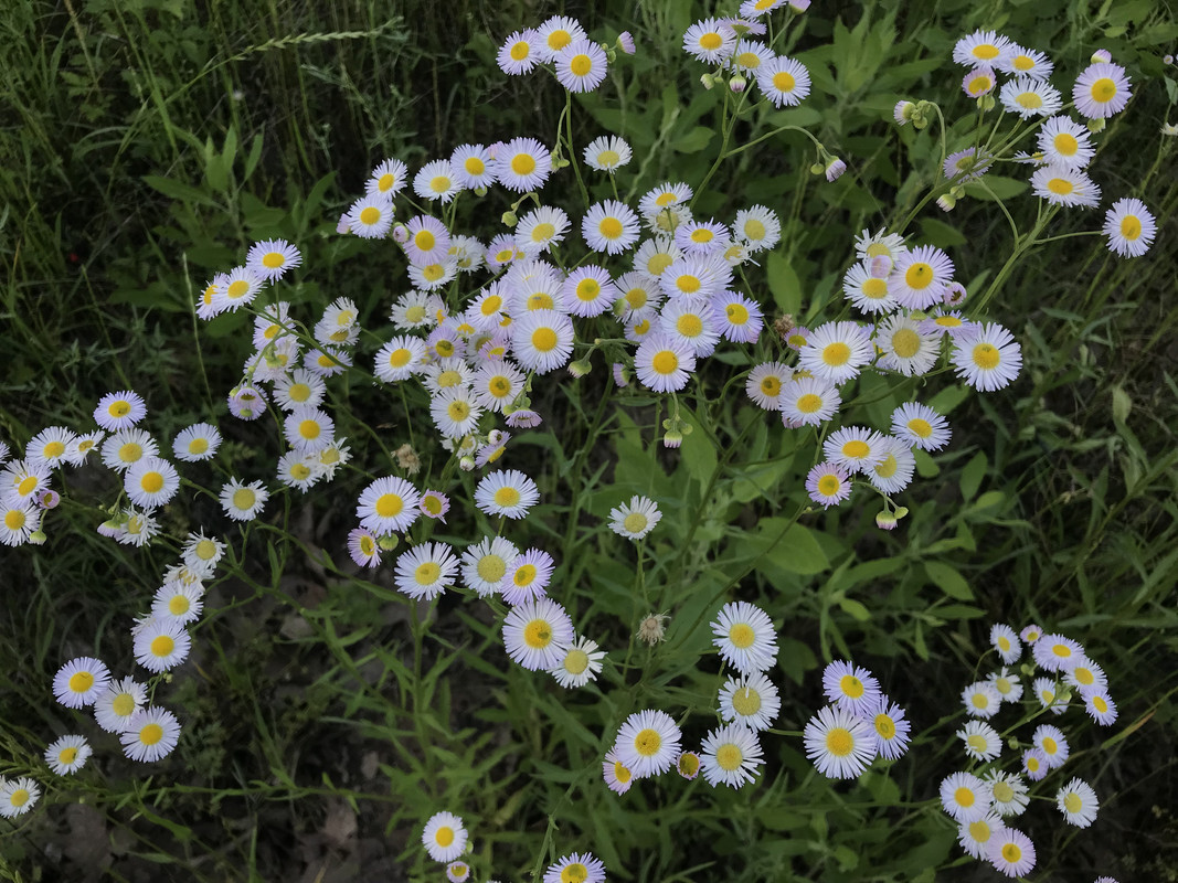 CC6B70F7-C294-4729-B849-99A19A90EA42