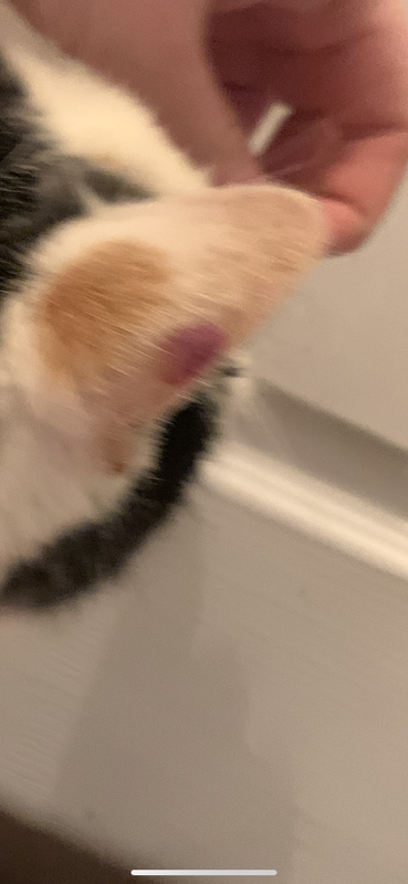 AFB675AD-B801-4181-A26D-6D8049209682