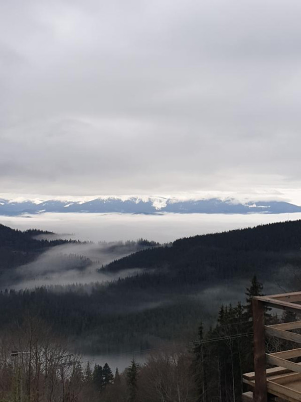 зображення_viber_2023-04-04_20-42-27-068