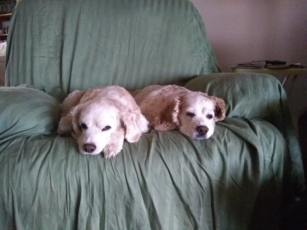Lily and Jenny