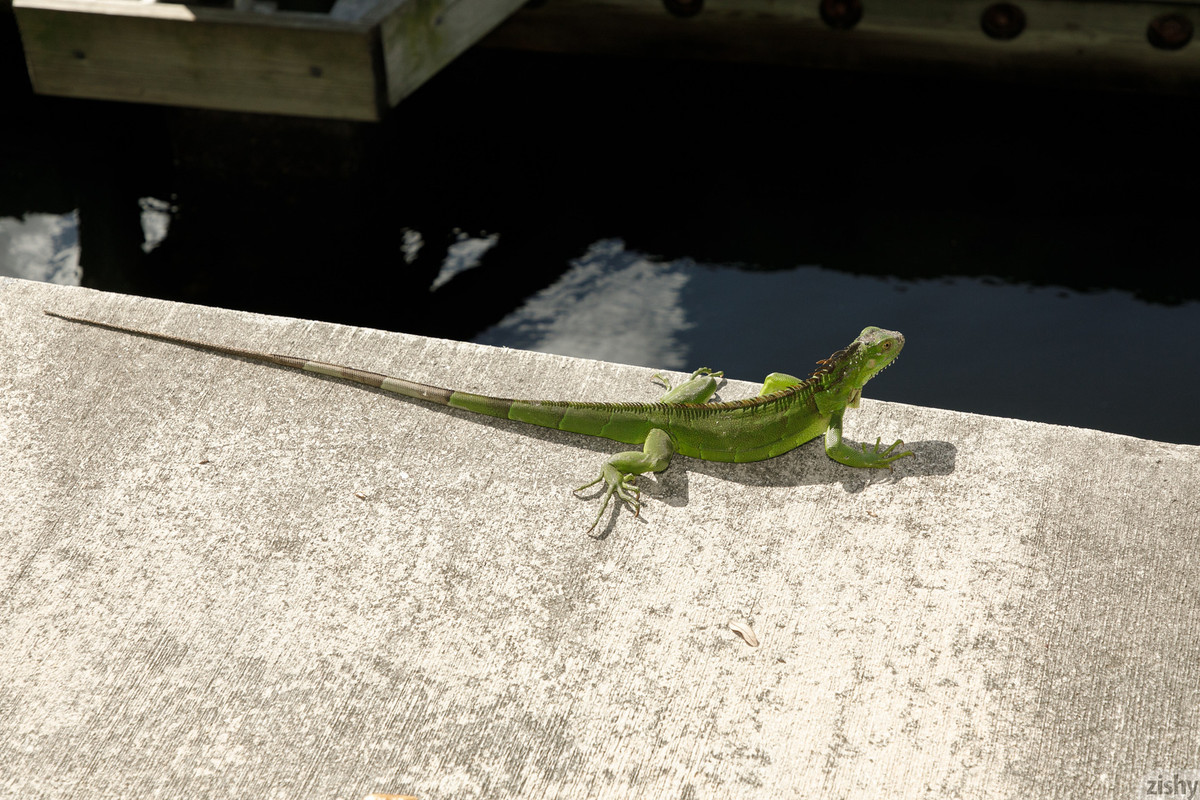 full_010_2109551200410678