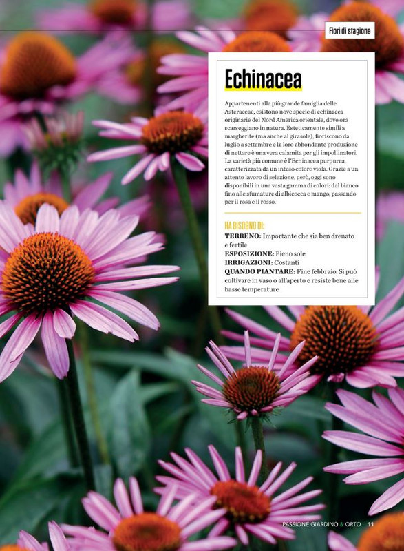 Pass Giar e Orto Lug-Ago-Set 2022 (2)