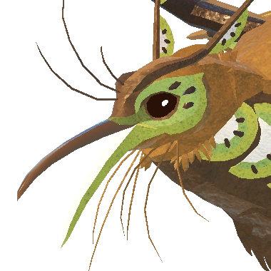 Kiiwin
