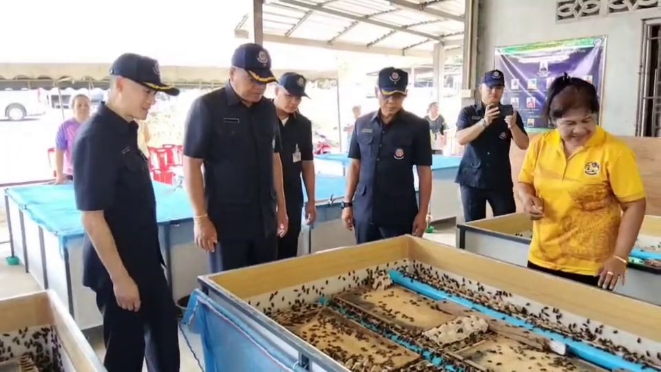 vlcsnap-2026-04-29-18h08m06s578