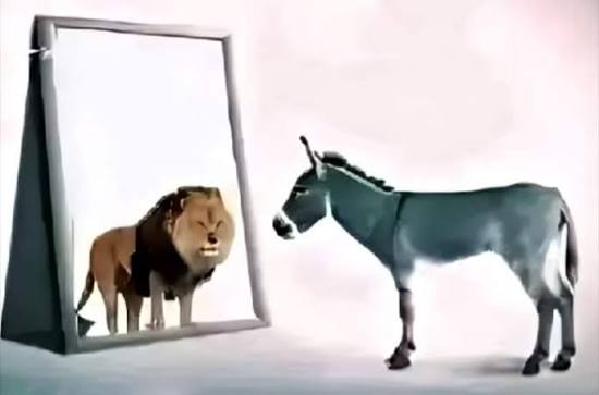 âne lion