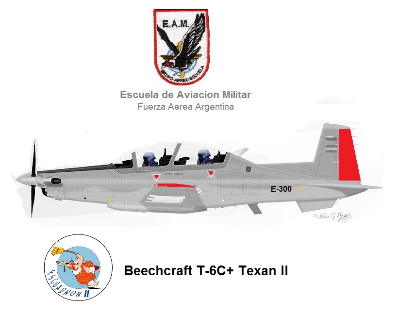 Cartel-T-6-C-FAA.jpg