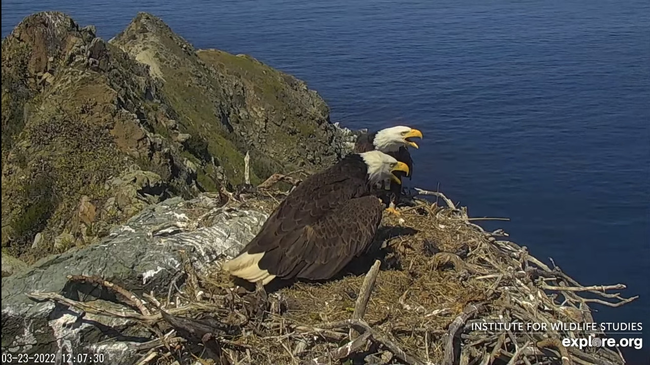 0DA7F9D0-F38C-4196-957E-D8BF615B48C2