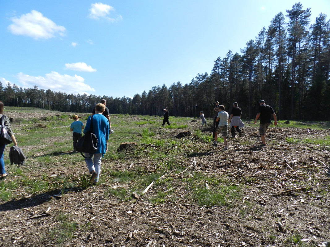 08 - DSCN4045 (Milady)