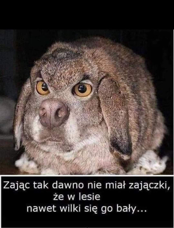 [Obrazek: FB-IMG-1660600979390.jpg]