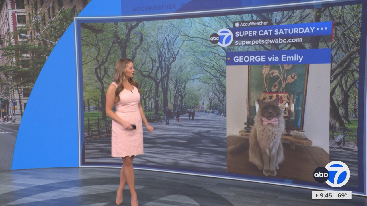 Eyewitness News This Morning_20250419_14001500.ts_snapshot_45.58.436