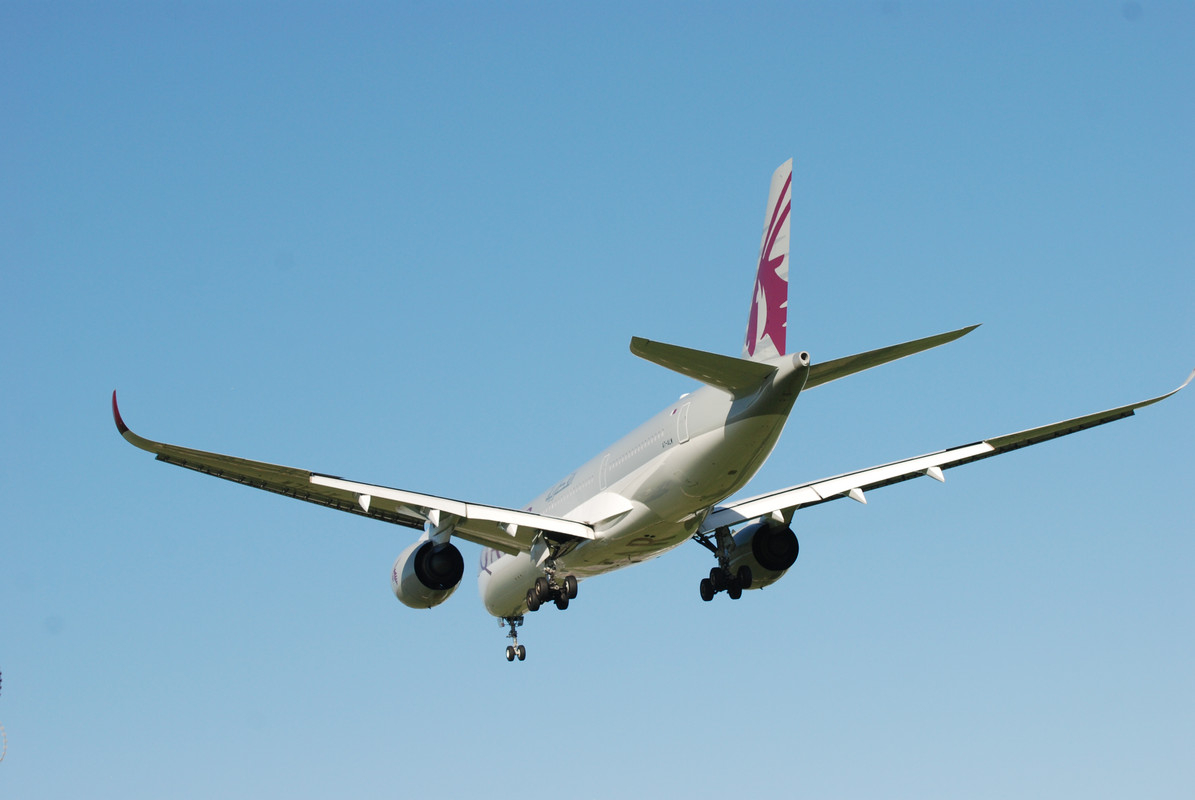 LIRF_14 dicembre 2019 (14)