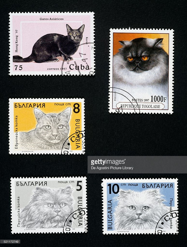 106