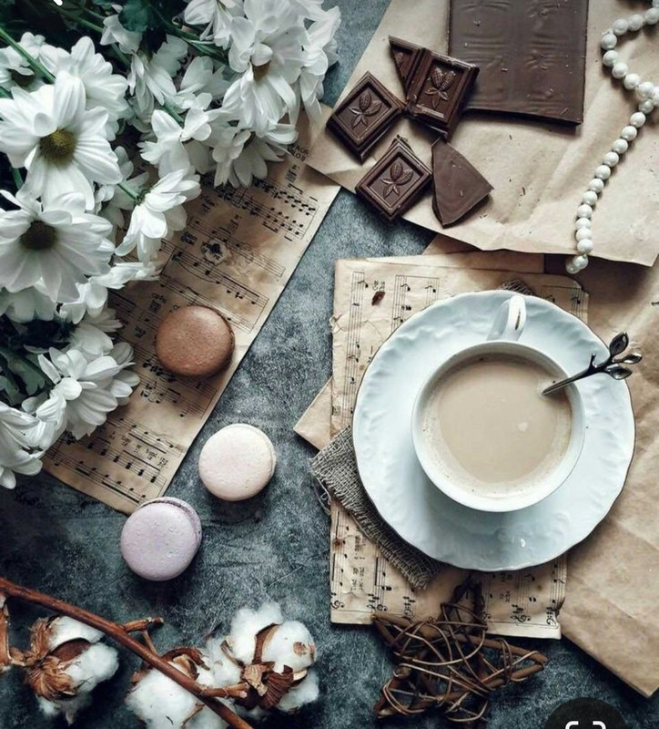 Screenshot_20240425_233934_Pinterest