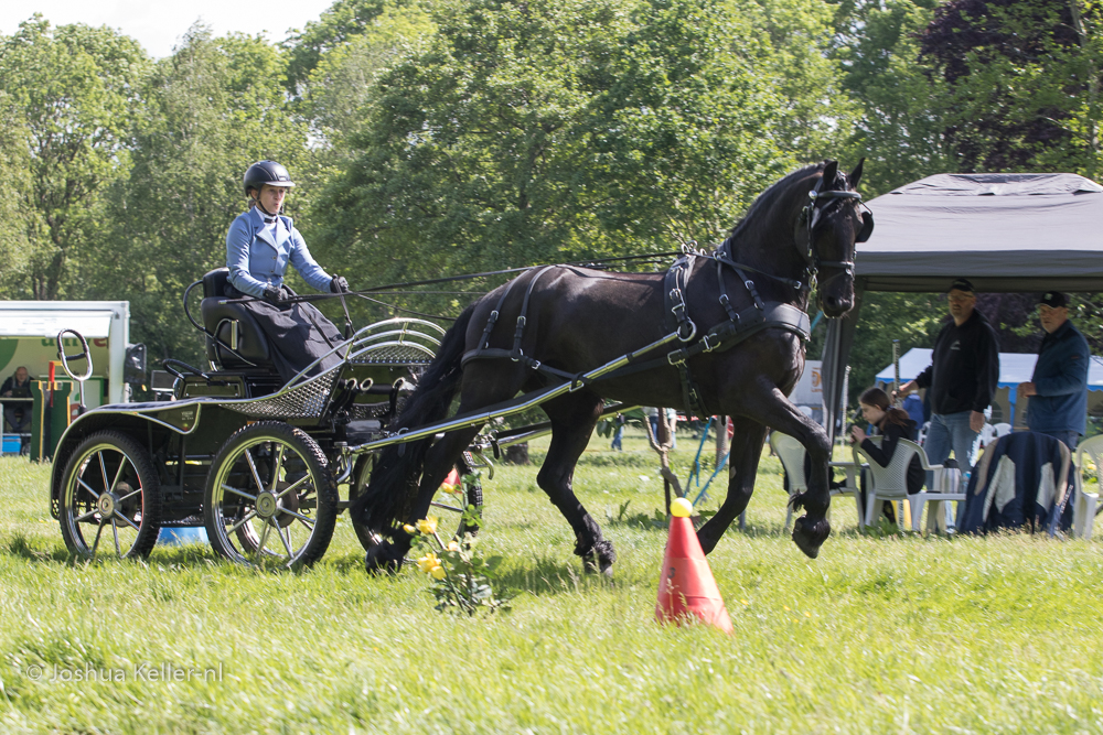 MG-9555vaardigheid-dressuur-nienoord-2022