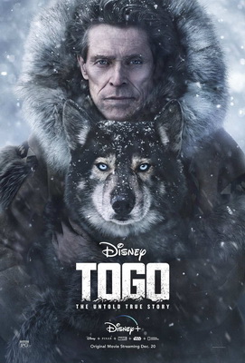 Togo (2019) .mkv iTA-ENG WEBDL 1080p x264