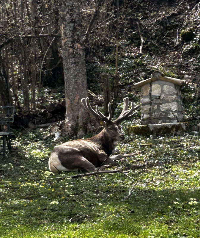 9FB26EE1-229C-4E19-89FC-72AAB221A0B8