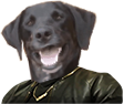 0-BF971-E5-1-F6-C-4577-BDD5-F26355-C19-EB2.png
