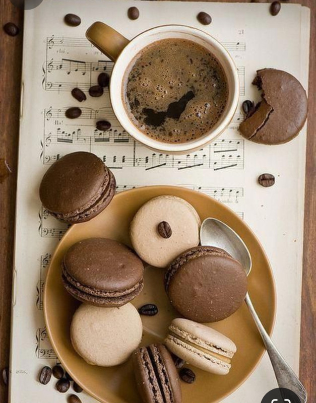 Screenshot_20240502_233027_Pinterest