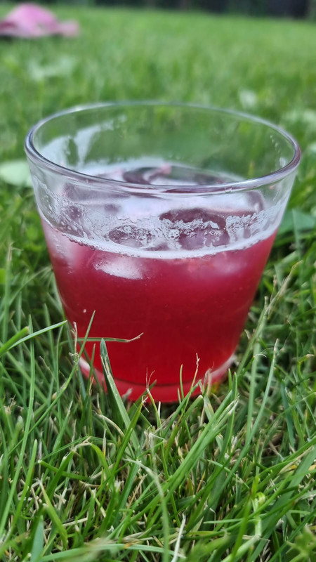 WhatsApp Image 2022-06-20 at 14.06.33