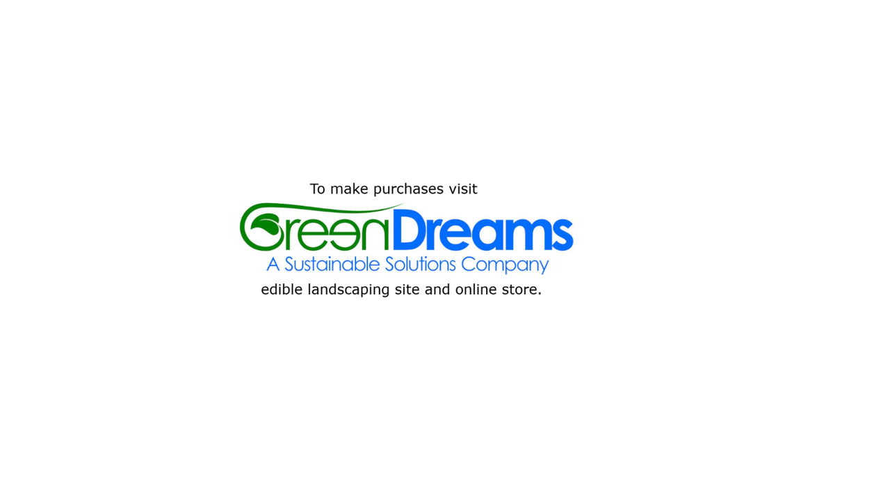 Greendreamstest7