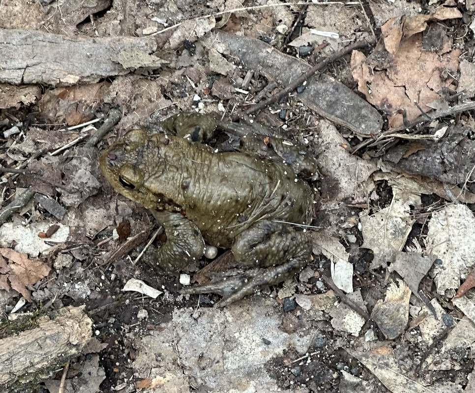 31EC2121-D0ED-439D-A2D6-616DF89ED262