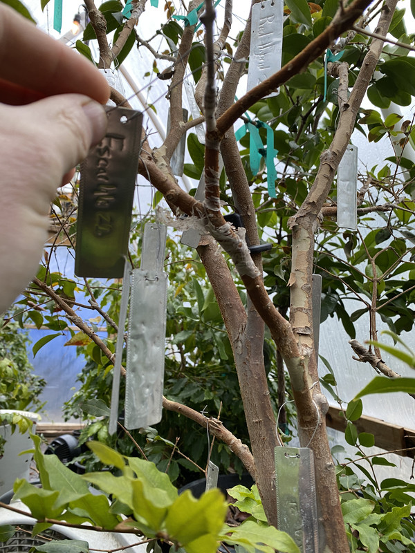 445A3CBC-62C6-4354-AC1C-43048F4254E7