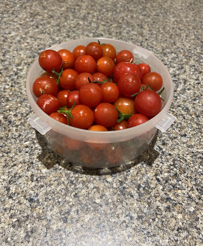 EFE126E1-4F03-466E-A4C7-DC5301EDDBA2