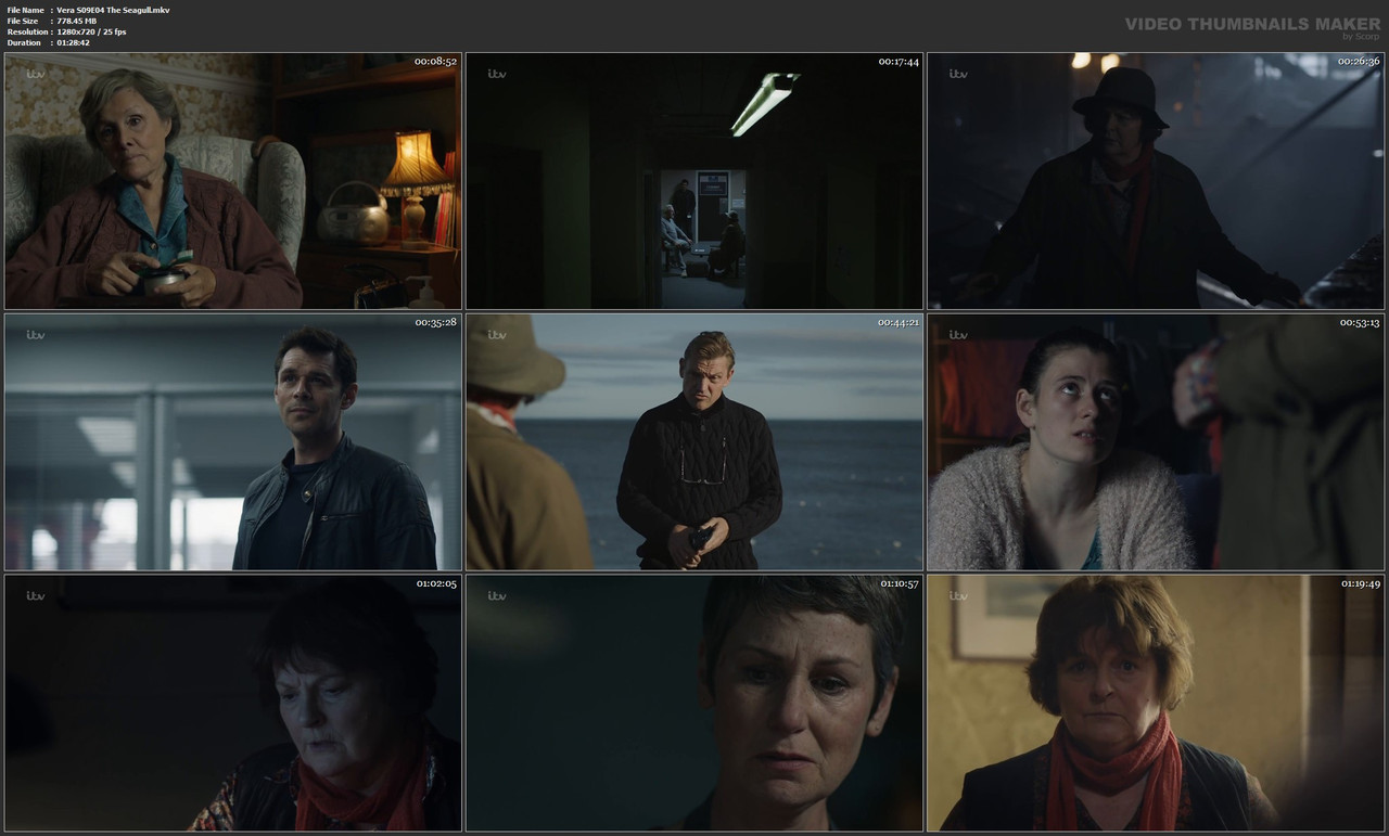 Vera S09E04 The Seagull.mkv