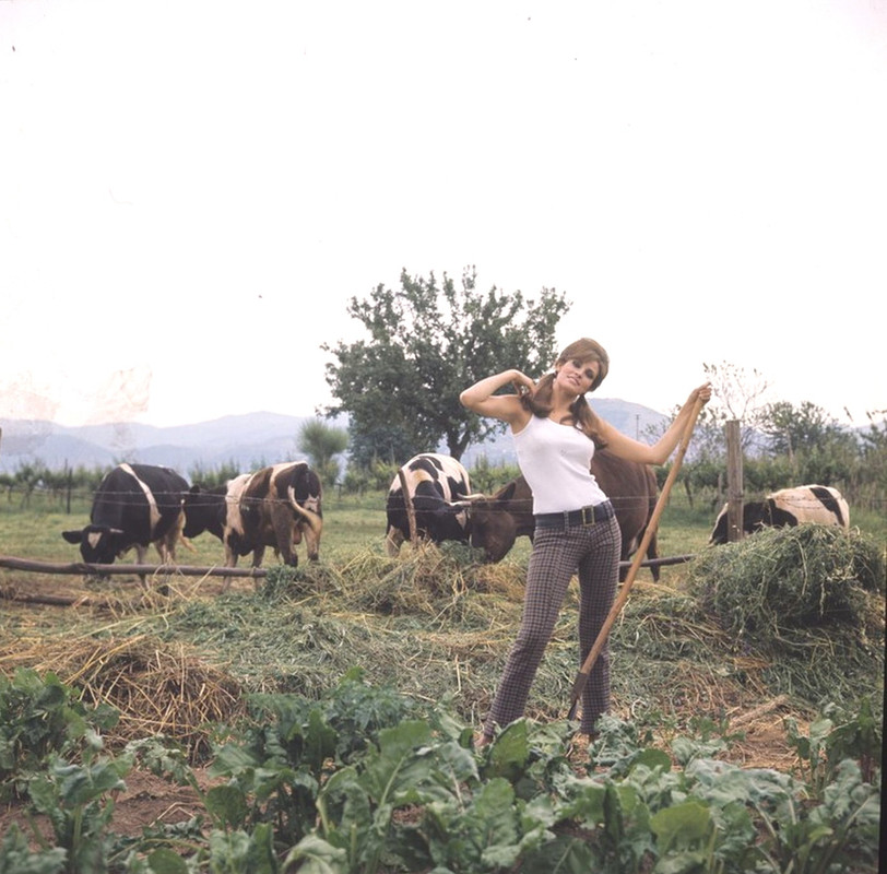 raquel_welch_f64